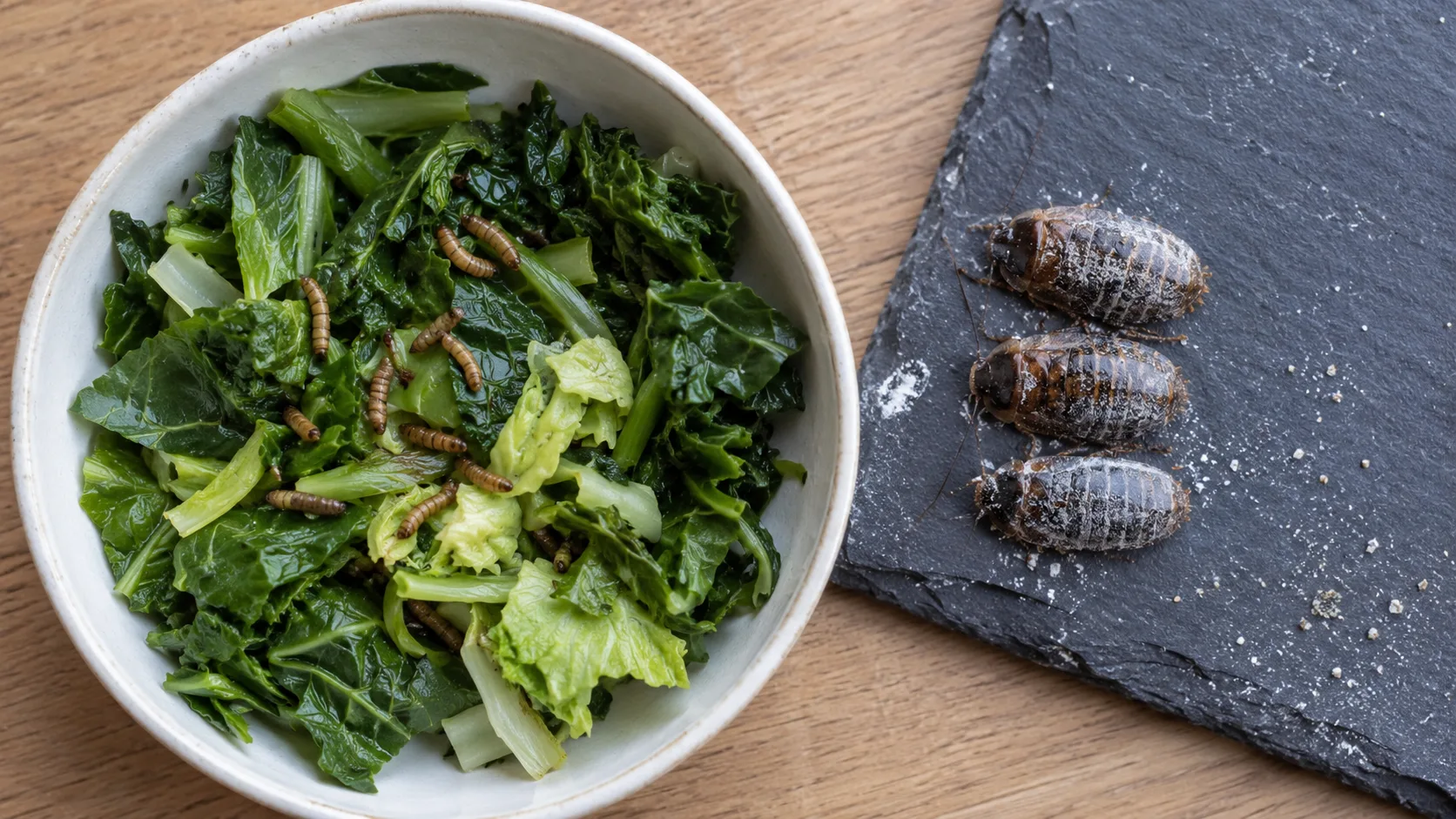 A bowl of chopped collard greens, mustard greens and escarole with a few dubia roaches on a slate ledge beside it, photographed cleanly for a feeding-chart reference image.