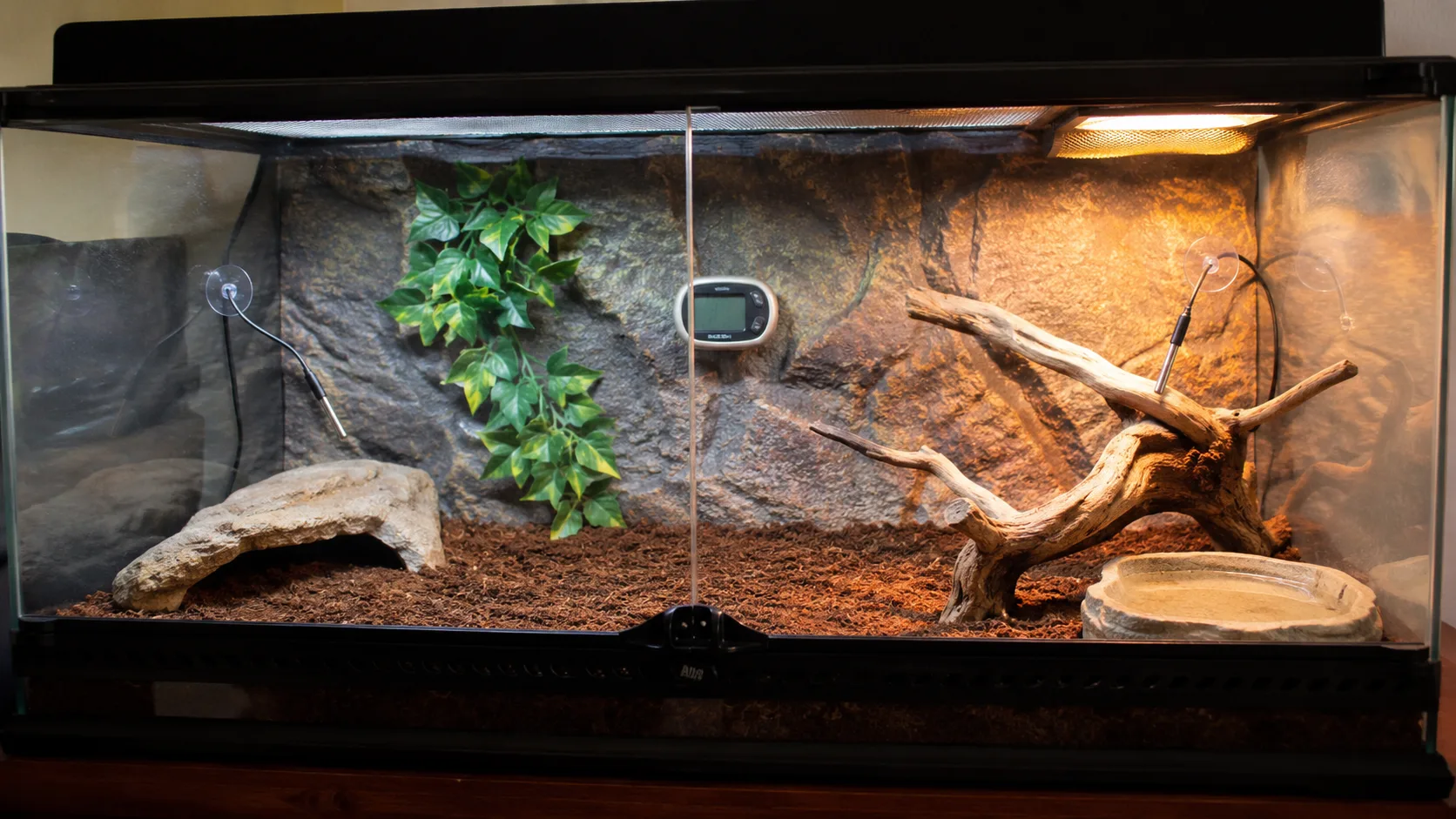 A reptile enclosure photographed showing thermometer probes on the warm and cool sides and a digital hygrometer reading in the middle.