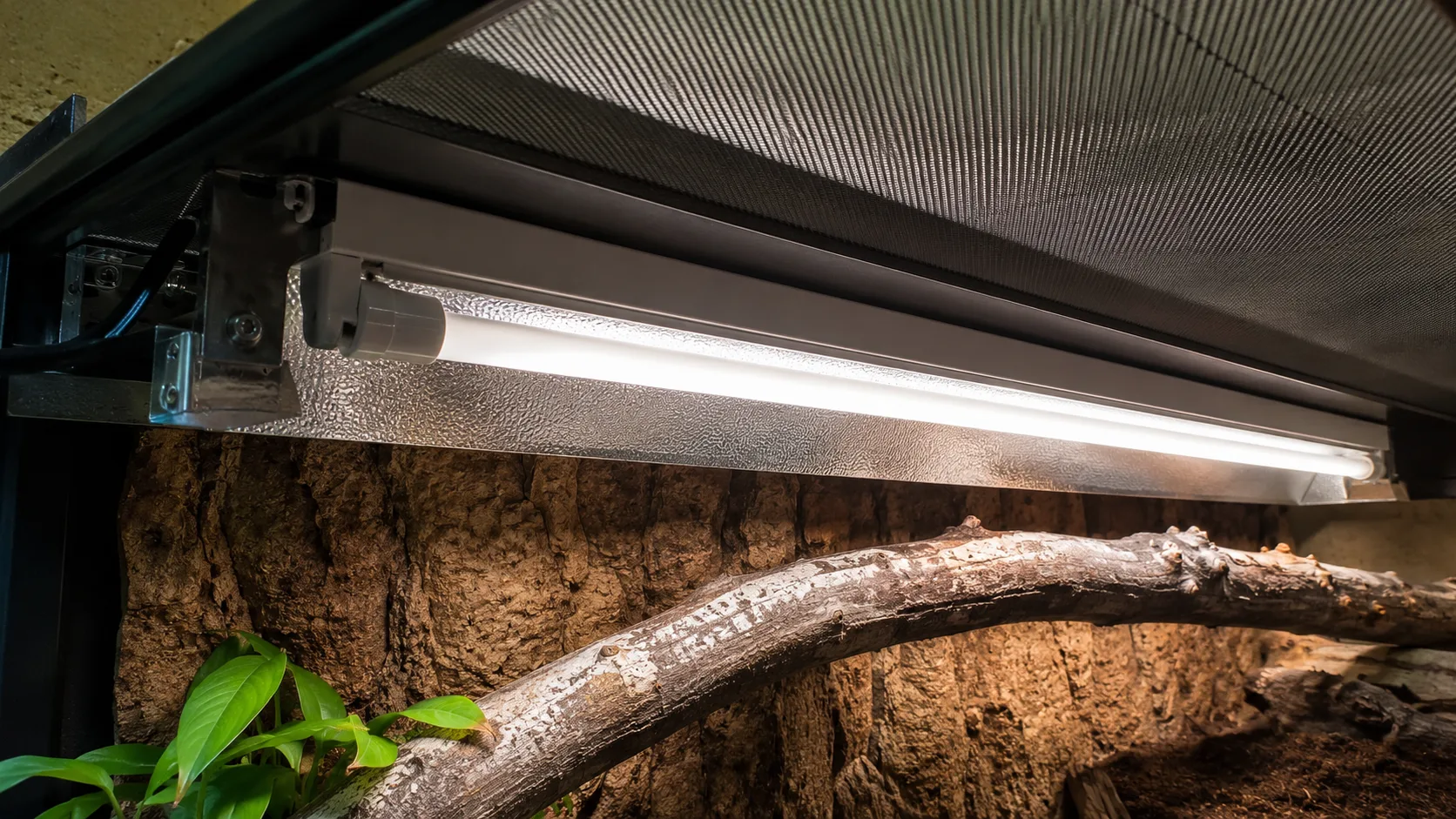 A close-up of a T5 high-output UVB linear tube fixture mounted inside a reptile enclosure with reflector, basking surface visible below.